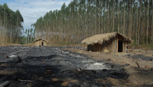 Deputado pede ação da Funai na disputa entre indígenas em Charrua (RS)