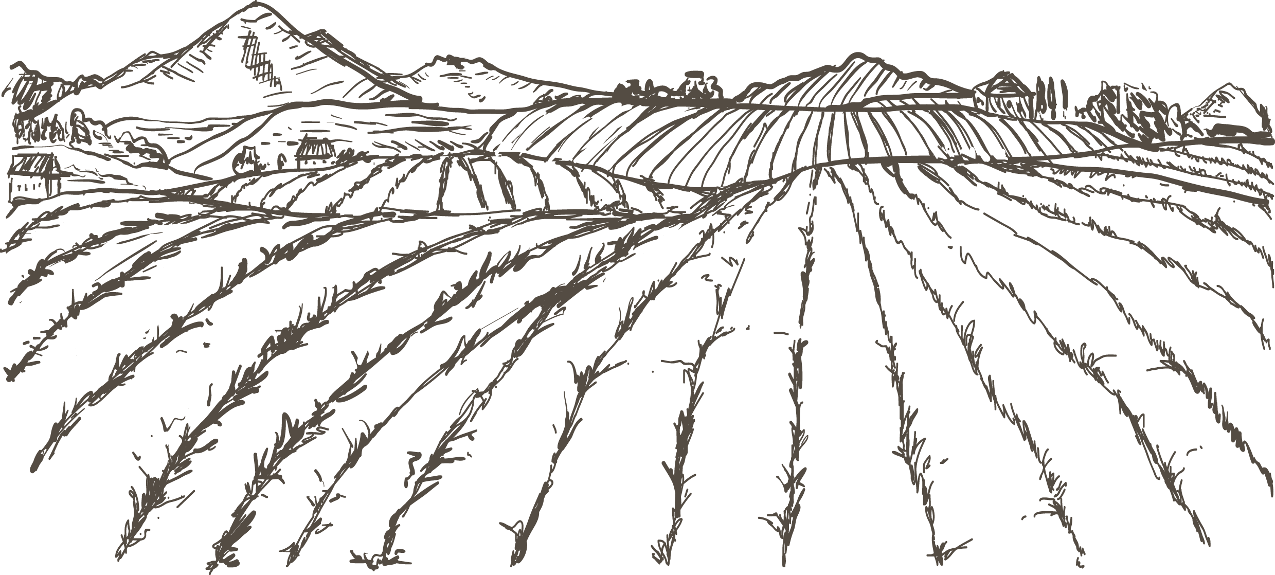 how to draw agriculture ️ Updated 2022