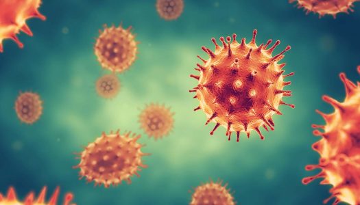 Nossas propostas para o enfrentamento à pandemia do Coronavírus (Covid-19)