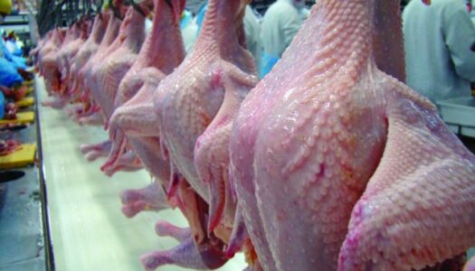 Ação no TCU cobra dívida cubana com exportadores de frango – Valor Econômico