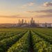 Refino no Brasil: lavoura de soja ao pôr do sol com refinaria e tanques de combustível ao fundo